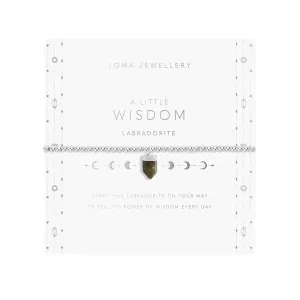 A Little 'Wisdom' Affirmation Crystal Bracelet | Silver Plated with Labradorite