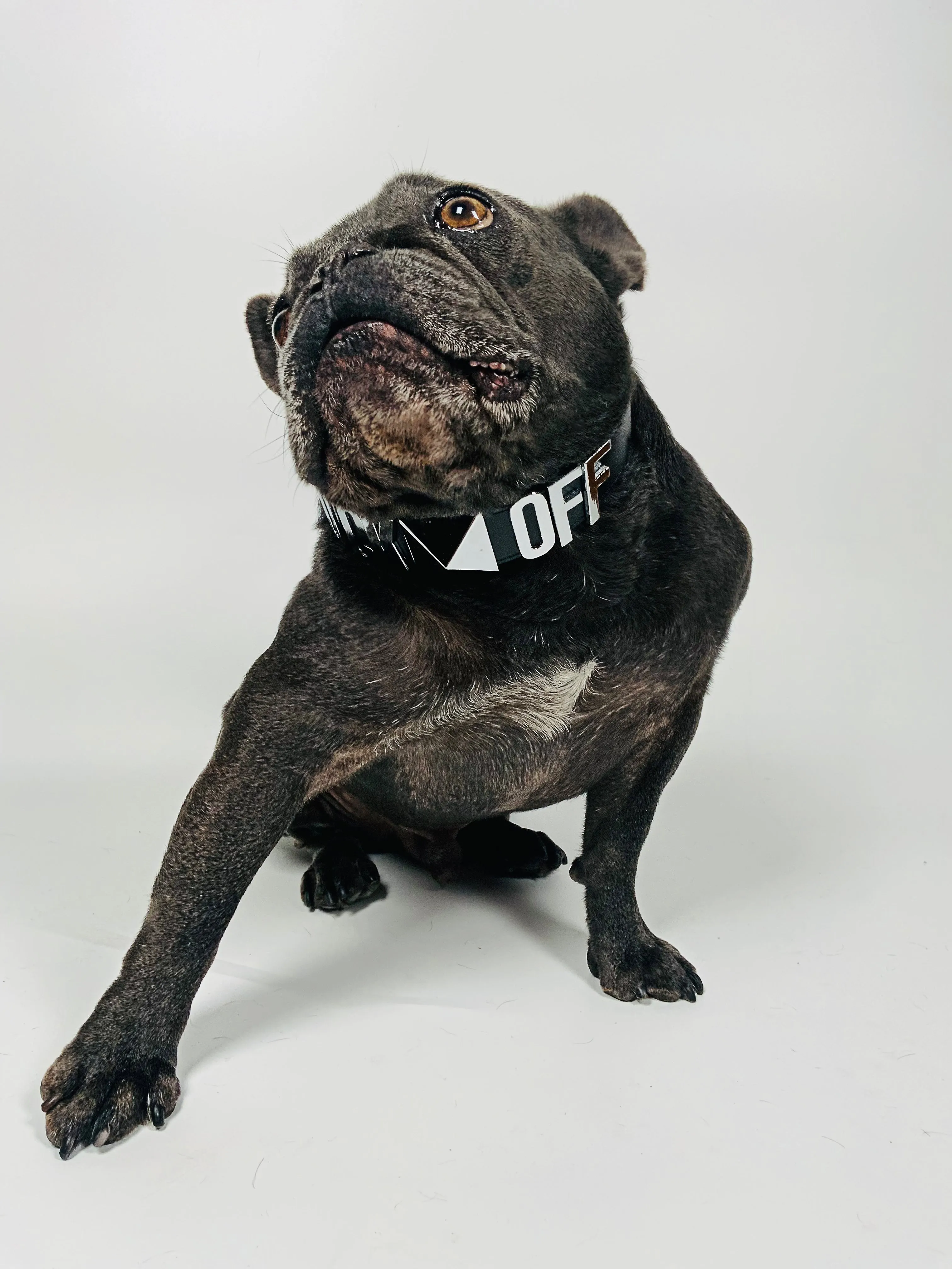 FUCK OFF COLLAR 30MM