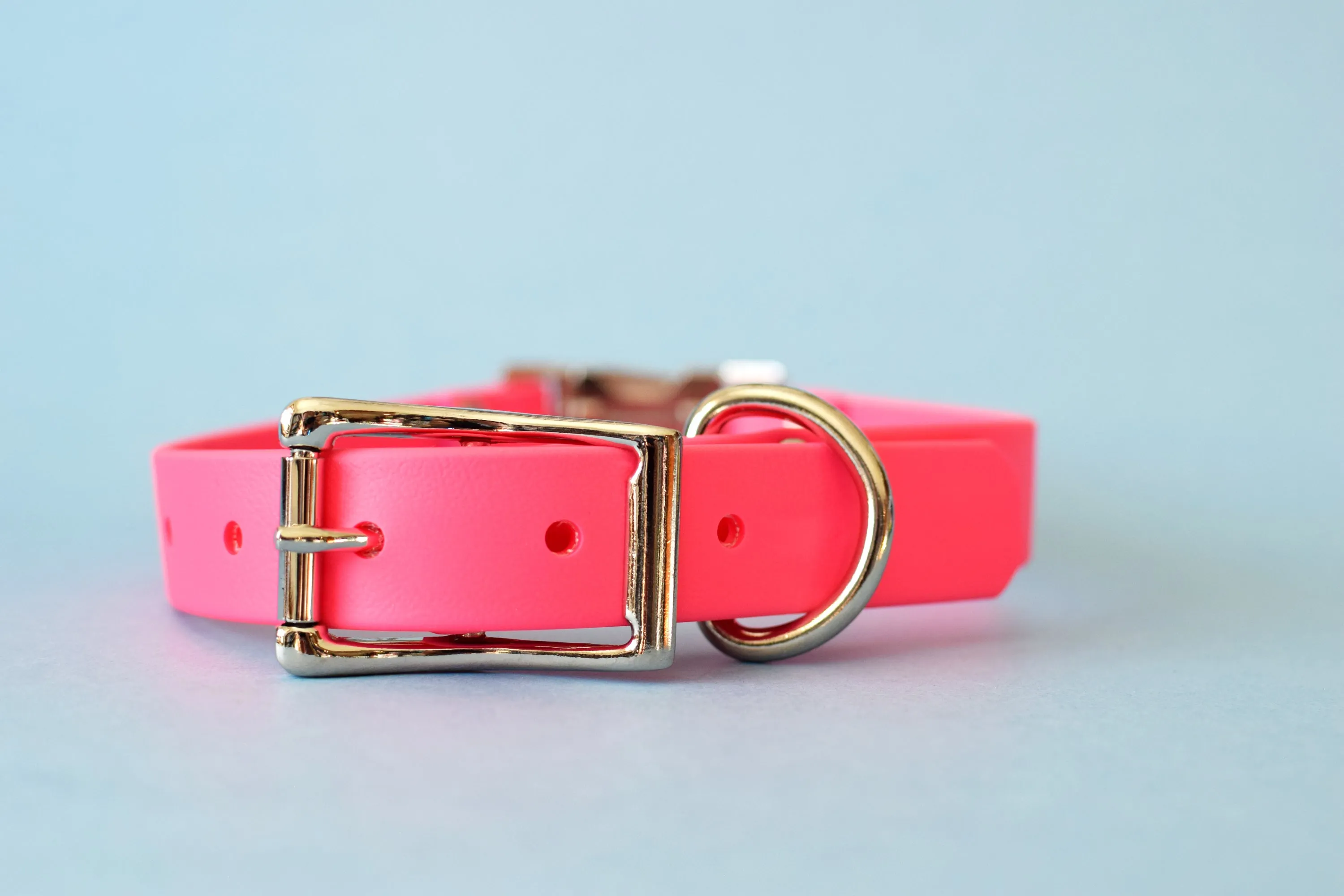 HARDWARE RETIREMENT SALE - Hot Pink & Nickel Biothane Dog Collar