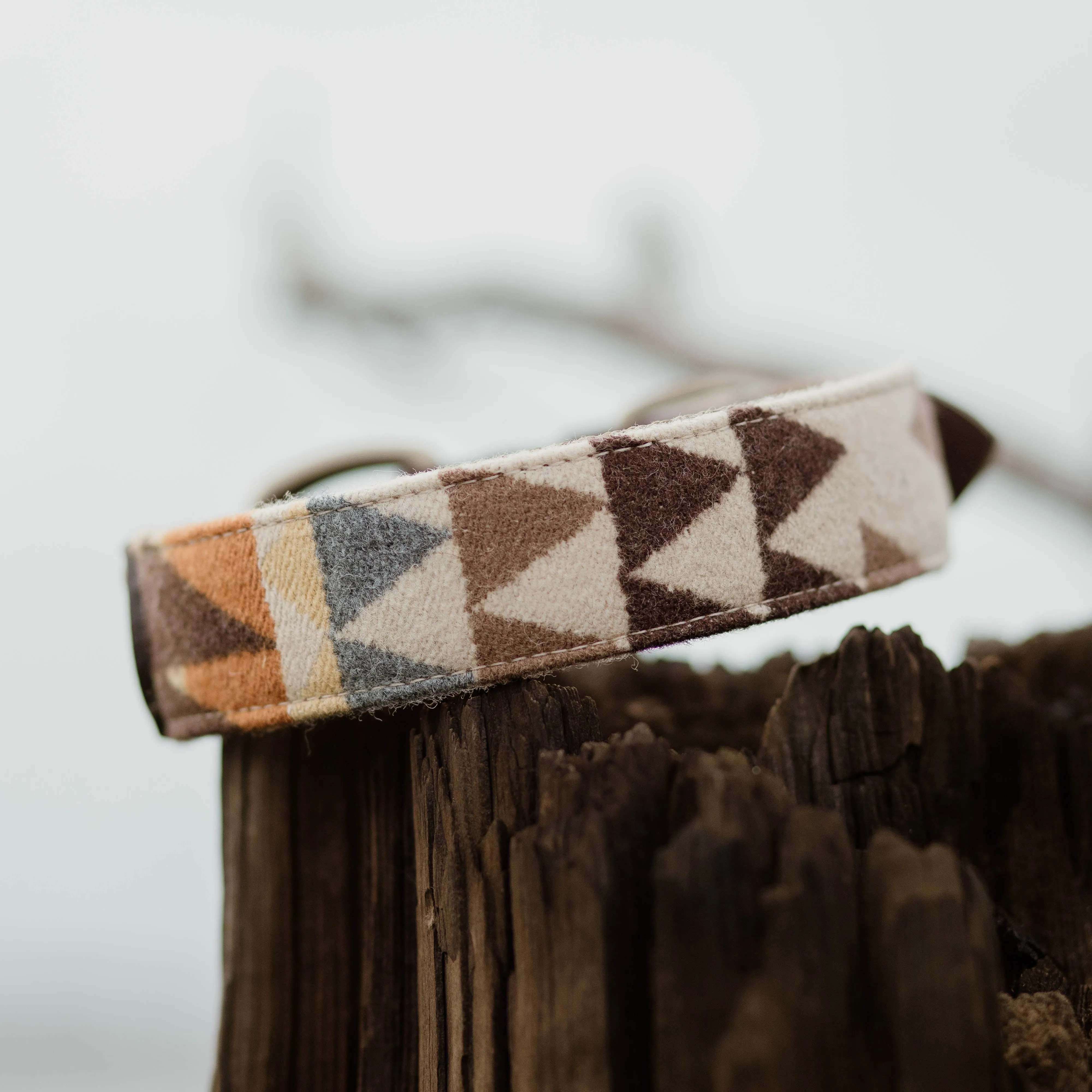 Mesa Collar