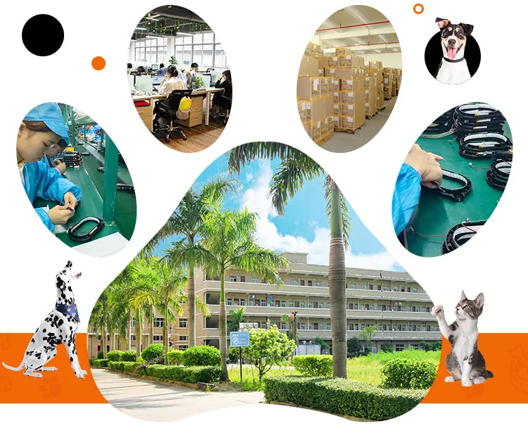 PAWS ASIA Supplier Wholesale Silicon Night Walk Pet Accessories Personalized Lighting Led Dog Collar