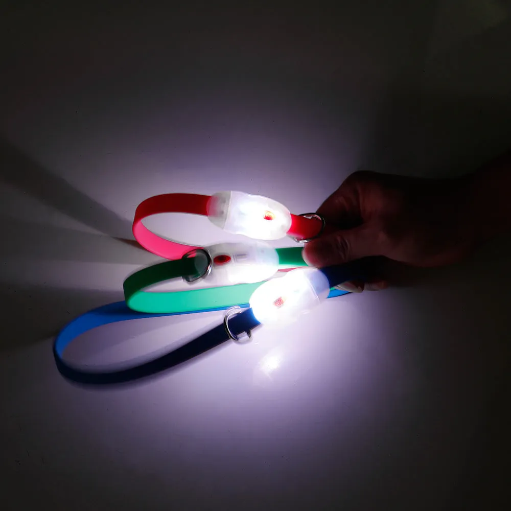 PAWS ASIA Supplier Wholesale Silicon Night Walk Pet Accessories Personalized Lighting Led Dog Collar