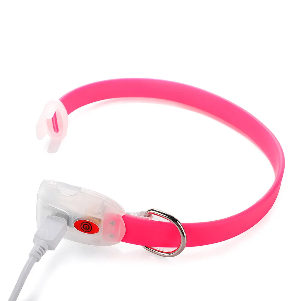 PAWS ASIA Supplier Wholesale Silicon Night Walk Pet Accessories Personalized Lighting Led Dog Collar