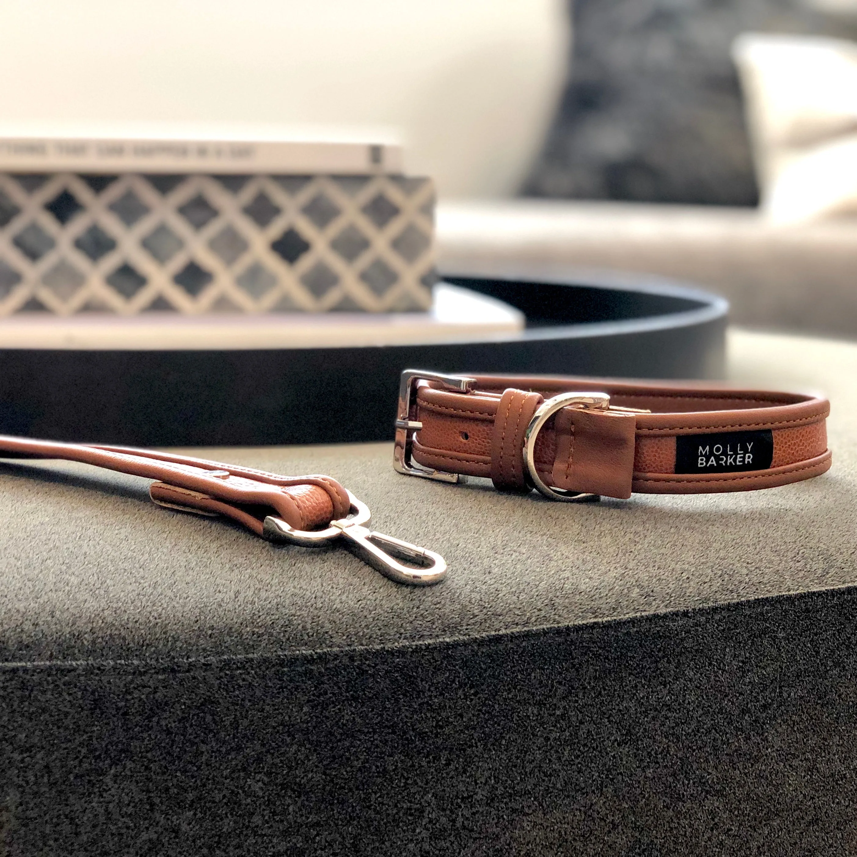 Sasha Dog Collar
