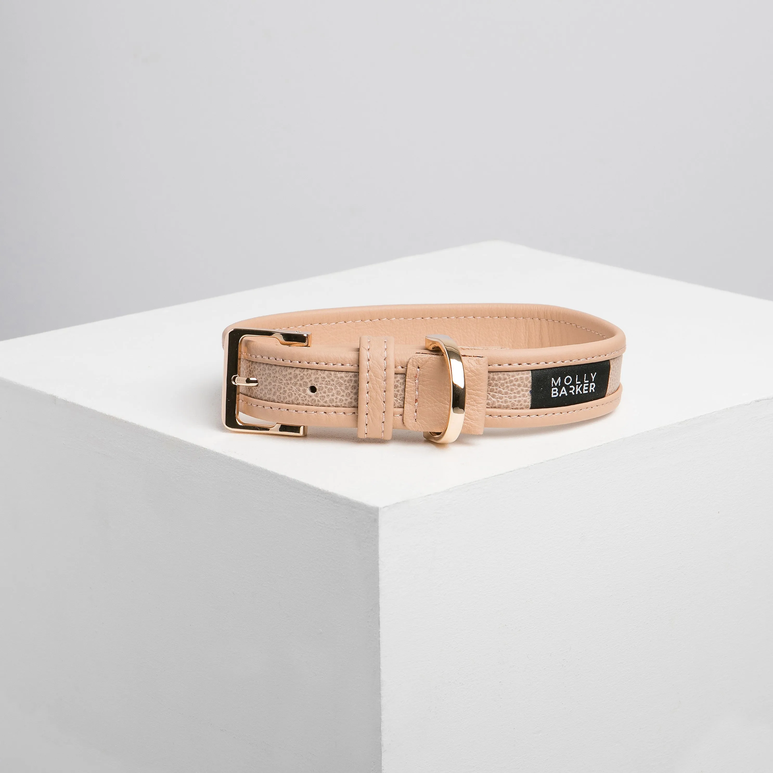 Sasha Dog Collar