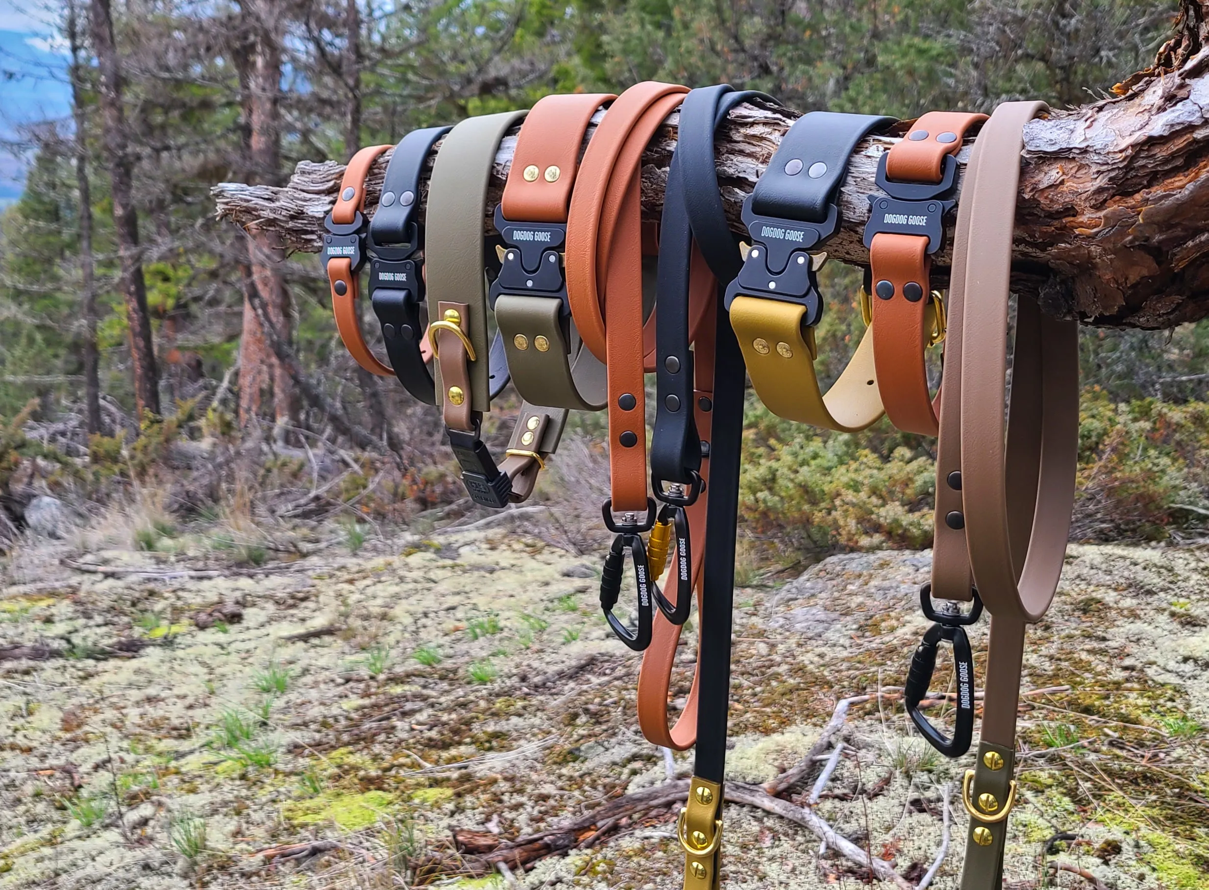 TORO COLLECTION - Black & Black Biothane Dog Collar