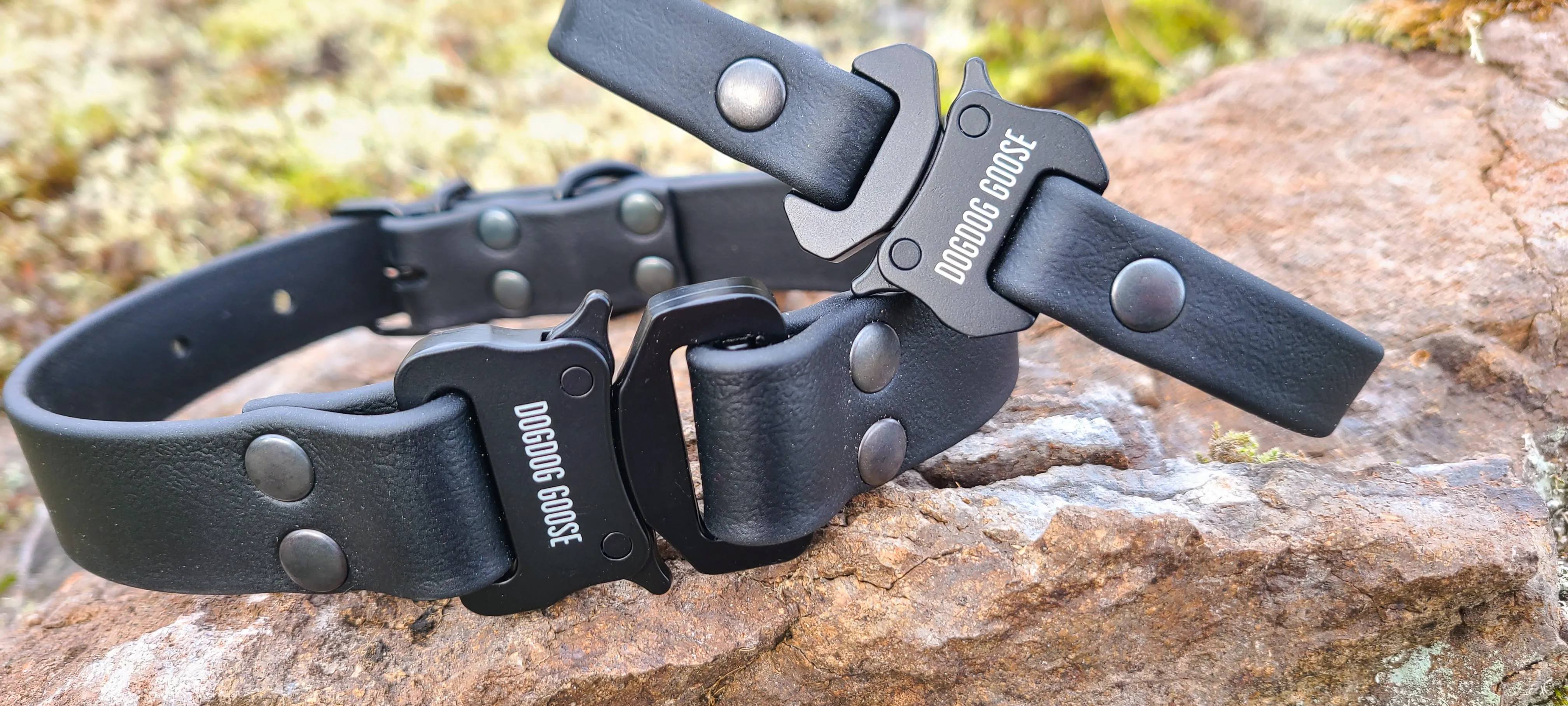 TORO COLLECTION - Black & Black Biothane Dog Collar