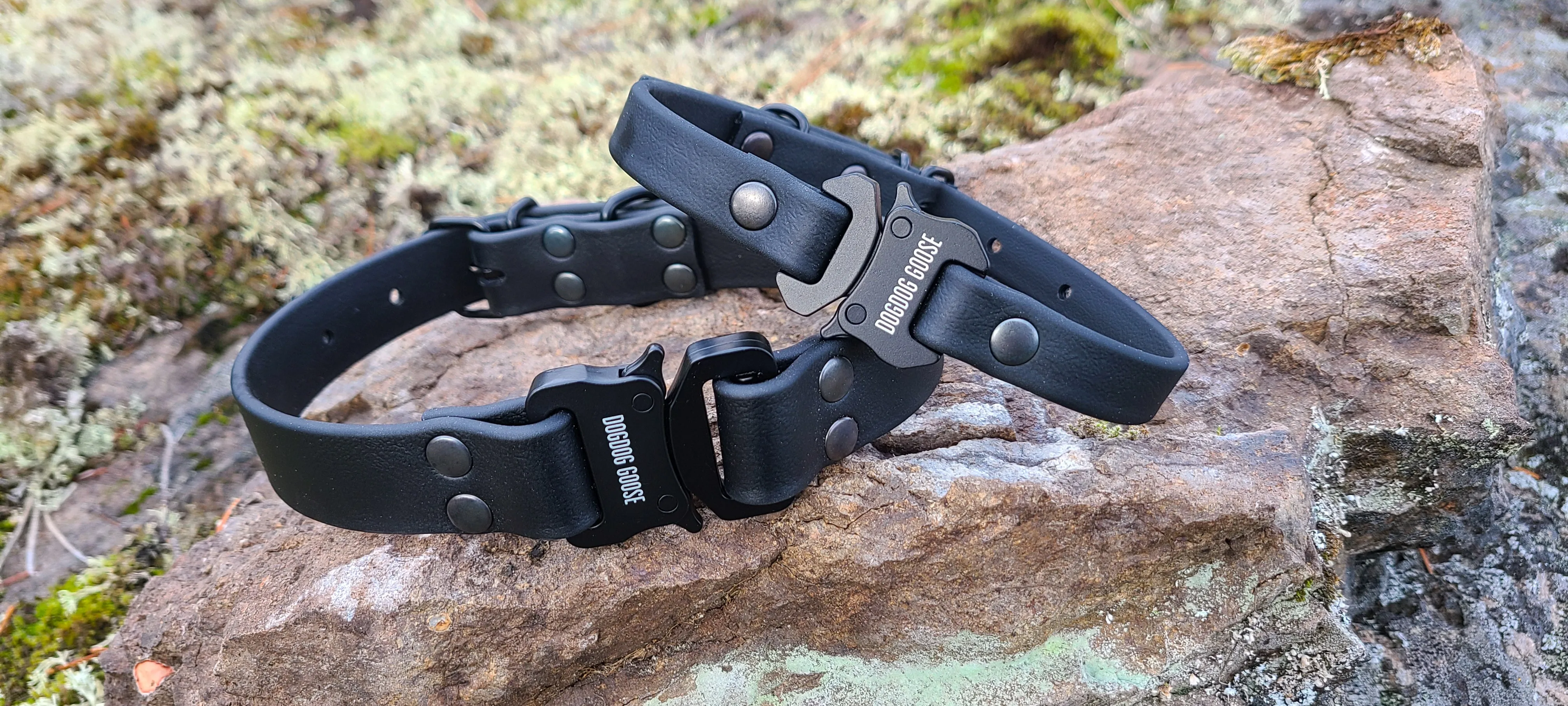 TORO COLLECTION - Black & Black Biothane Dog Collar