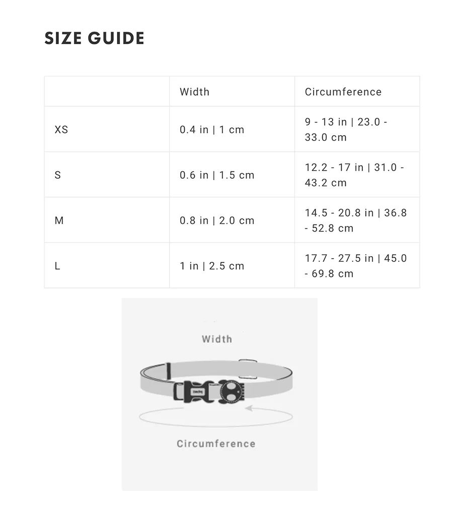 ZeeDog Tidal Collar